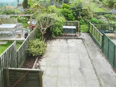 Picture 12